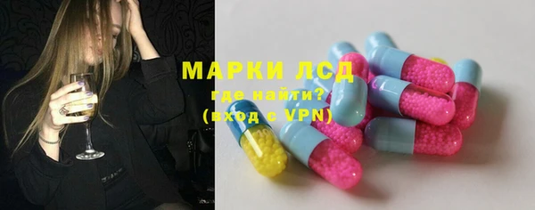 прущий лед Алзамай