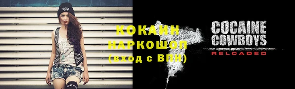 прущий лед Алзамай