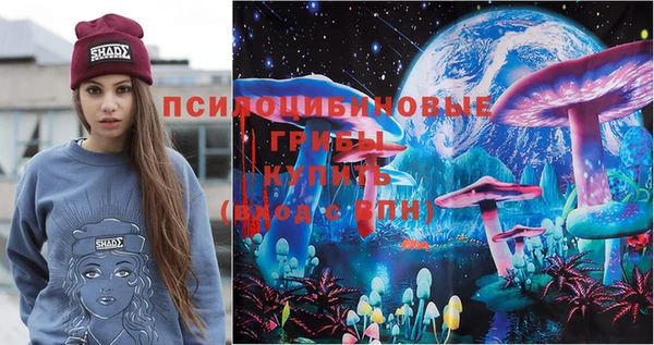 прущий лед Алзамай