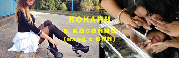 прущий лед Алзамай
